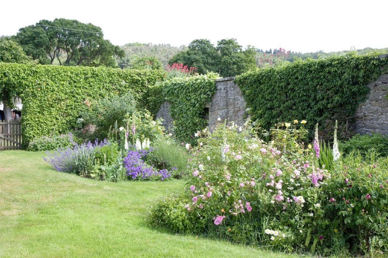 Anick Grange Farm B&B Hexham Zewnętrze zdjęcie