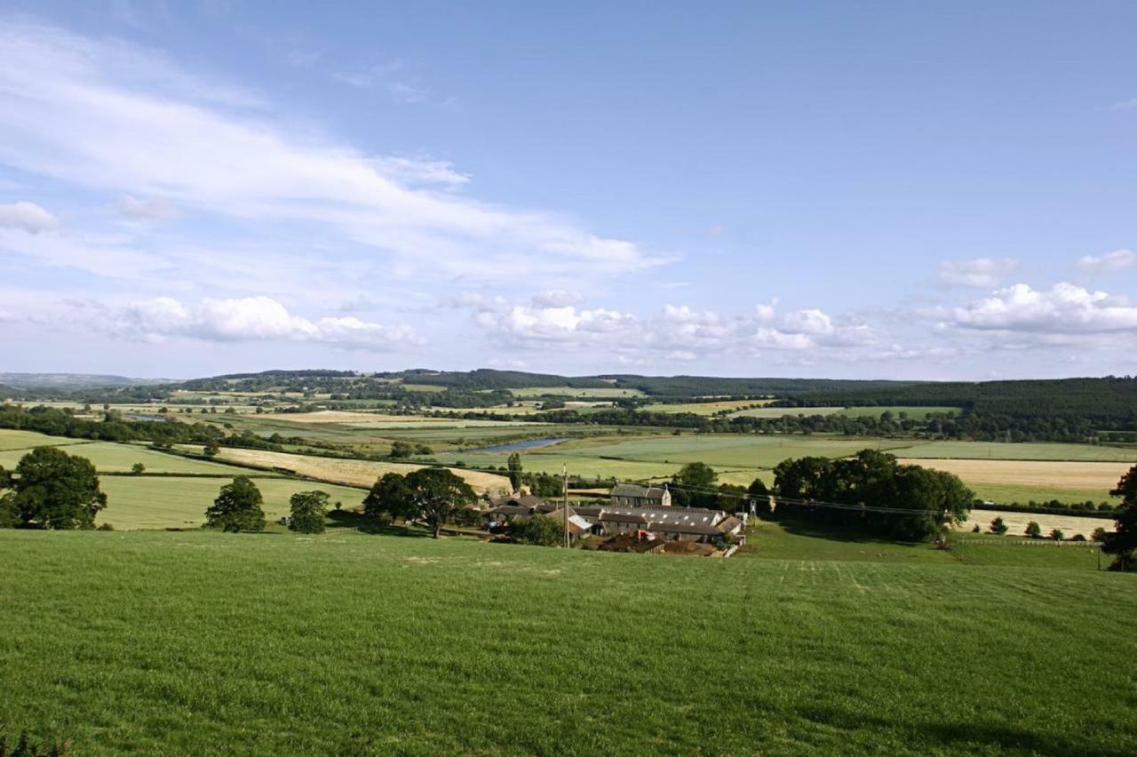 Anick Grange Farm B&B Hexham Zewnętrze zdjęcie
